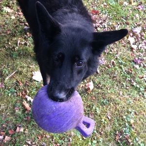 Meet your Posher, Asa